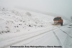 Conservación-Área-Metropolitana-y-Sierra-Nevada1-300x201