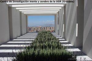 mente-y-cerebro1-300x200