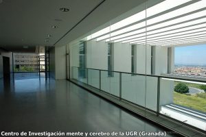 mente-y-cerebro2-300x200