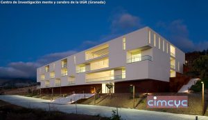 mente-y-cerebro3-300x174