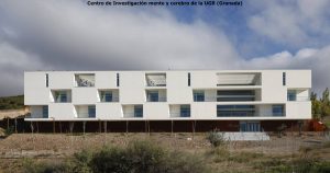 mente-y-cerebro4-300x158